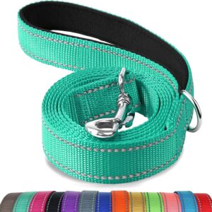 Joytale Double-Sided Reflective Dog Leash