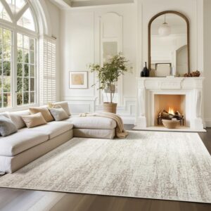 Area Rugs for Living Room